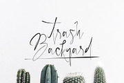 Papies Script Font, a Script Font by Maxim apperian (Thumbnail 5 of 8)
