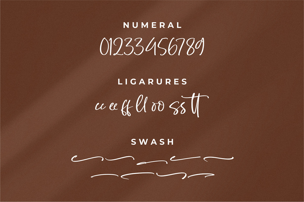 Sellaheby, a Script Font by Integritype Studio (Photo 8 of 15)