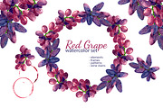 Red grape watercolor clipart, an Illustration by s.yanyeva (Thumbnail 1 of 7)