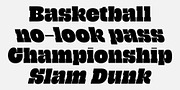 Grantig, a Slab Serif Font by Julien Fincker (Thumbnail 12 of 12)