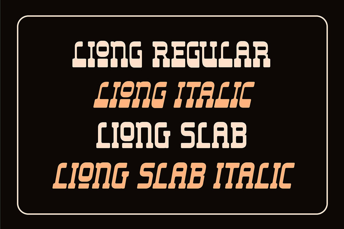 Liong - 4 Fonts Styles, a Slab Serif Font by Dikas Studio (Photo 4 of 12)