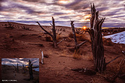 16 Pro Landscape Lightroom Presets 2, an Action Add-On by Edito (Thumbnail 12 of 18)