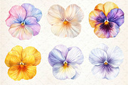 Viola Flower Bloom Clipart, an Illustration by Dream Creation (Thumbnail 2 of 6)