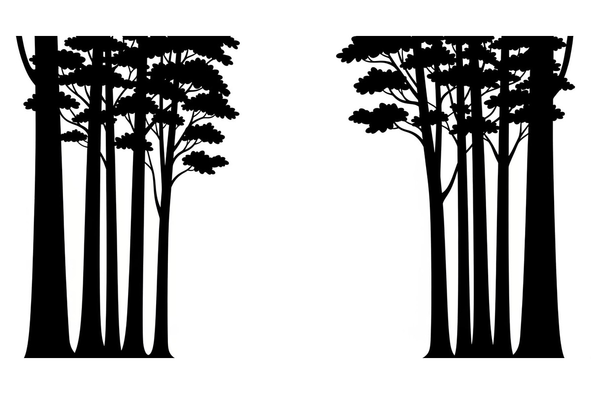 Forest Frame Silhouette SVG Bundle, an Illustration by jahid234 (Photo 45 of 51)