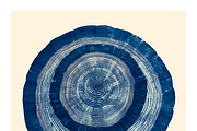 Natt Collection · Organic Tree Rings, a Texture Illustration by milatovar (Thumbnail 19 of 19)