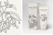 Flowers Ylang Ylang. Botanical set, an Object Graphic by ON_lineart_store (Thumbnail 4 of 8)
