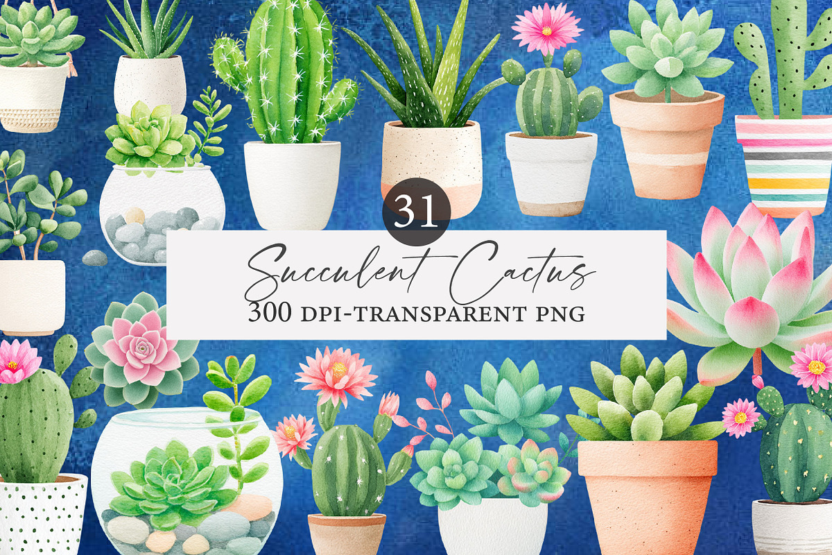 Watercolor succulent cactus clipart, an Illustration by Designworld (Photo 1 of 5)