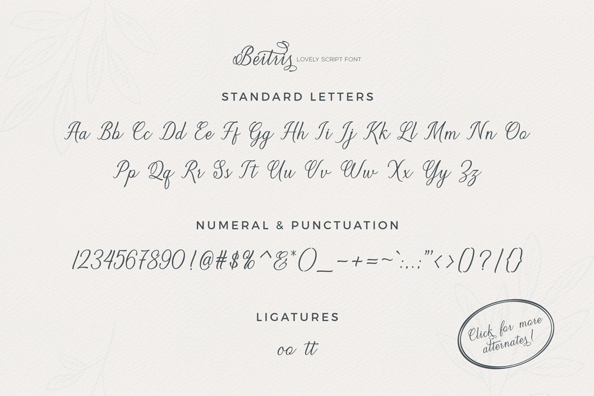 Beitris Script, a Script Font by banks (Photo 13 of 15)