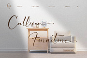 Cicaero, a Script Font by Integritype Studio (Thumbnail 12 of 15)