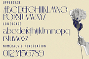 MCLASSIC FONT, a Sans Serif Font by 177Studio (Thumbnail 7 of 7)