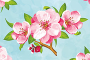 SET / Sakura blossom in various kind, an Illustration by Nadin_Lebedeva (Thumbnail 3 of 7)