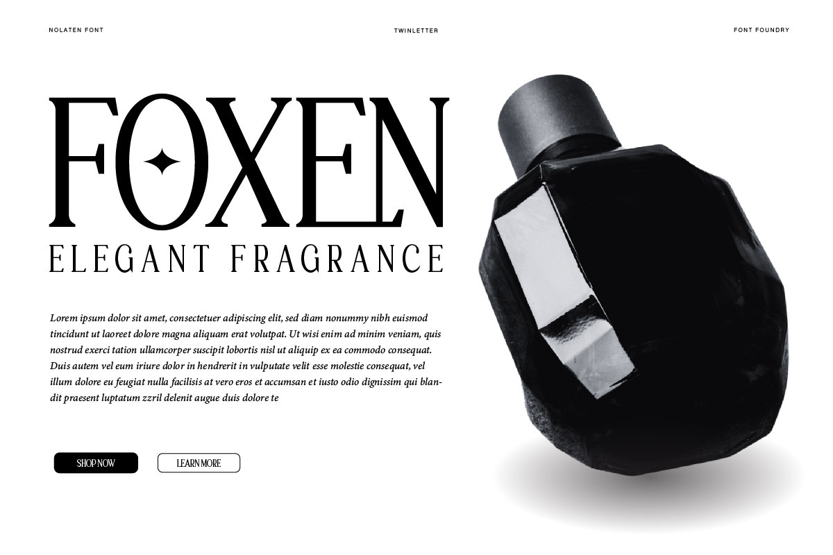 Laqenut - Serif Display Font, a Serif Font by twinstd (Photo 6 of 10)