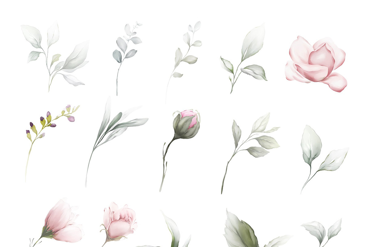 Amanda | Botanical set | 205 images, an Illustration by Karma (Photo 17 of 27)