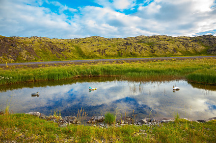 Small lake, a Nature Photo by kavram