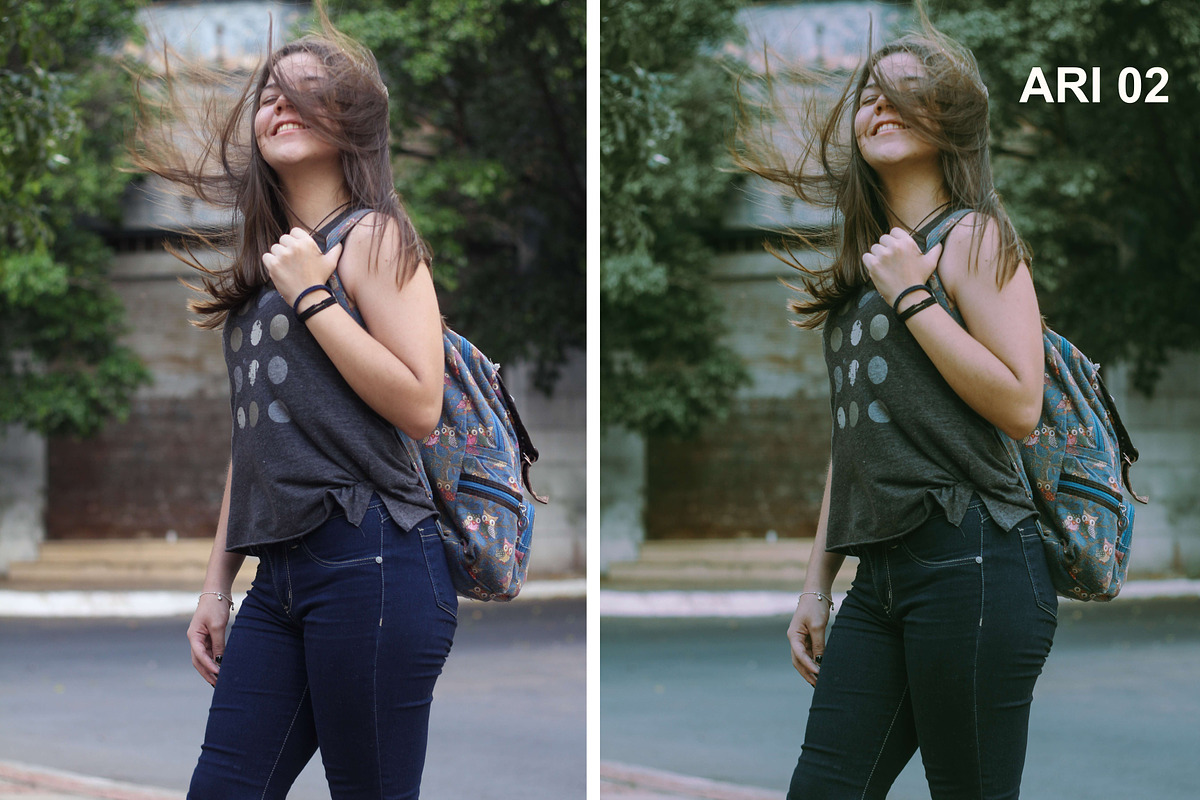 Ariel Bourgoing Presets Film & Moody, an Action Add-On by Bourgoing Presets (Photo 3 of 11)