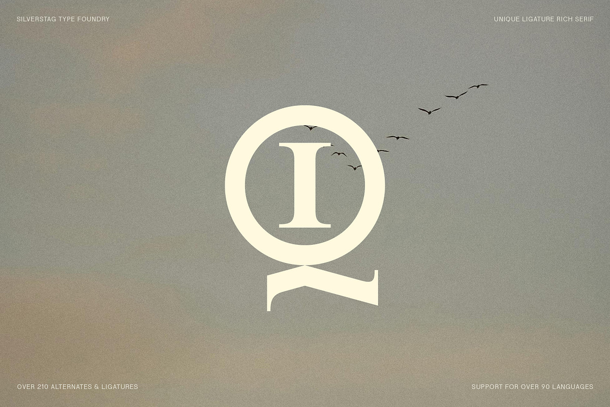 SLTF Winner Baroque - Ligature Serif, a Serif Font by SilverStag Type Foundry (Photo 21 of 30)