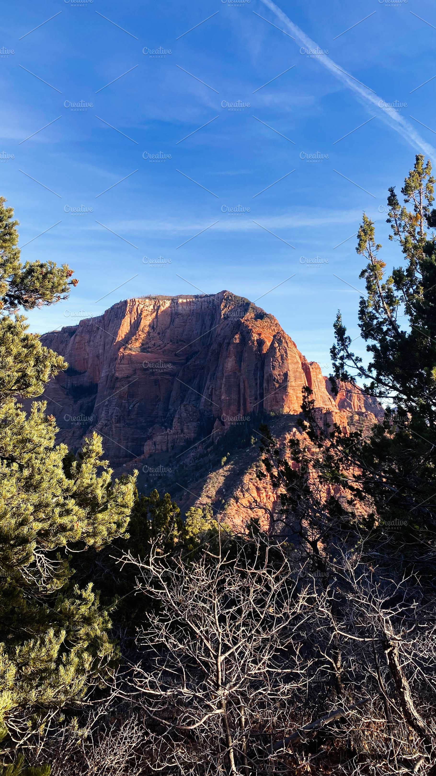 Utah landscape with red sandstone cliffs, pine trees, and a clear blue sky in n, a Nature Photo by AS photostudio