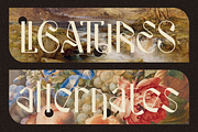 Strooma Retro Display, a Font by Creatype Studio (Thumbnail 10 of 11)