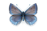 Swallowtail butterfly, butterflies, an Icon by Allevinatis Studio (Thumbnail 2 of 2)