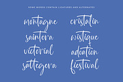 Highest Bluebell Natural Handwritten, a Script Font by stylishtype.co (Thumbnail 12 of 20)