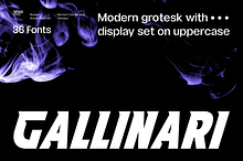 Gallinari - Modern Grotesk 36 Fonts