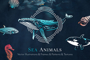 Animal Illustrations Bundle 1