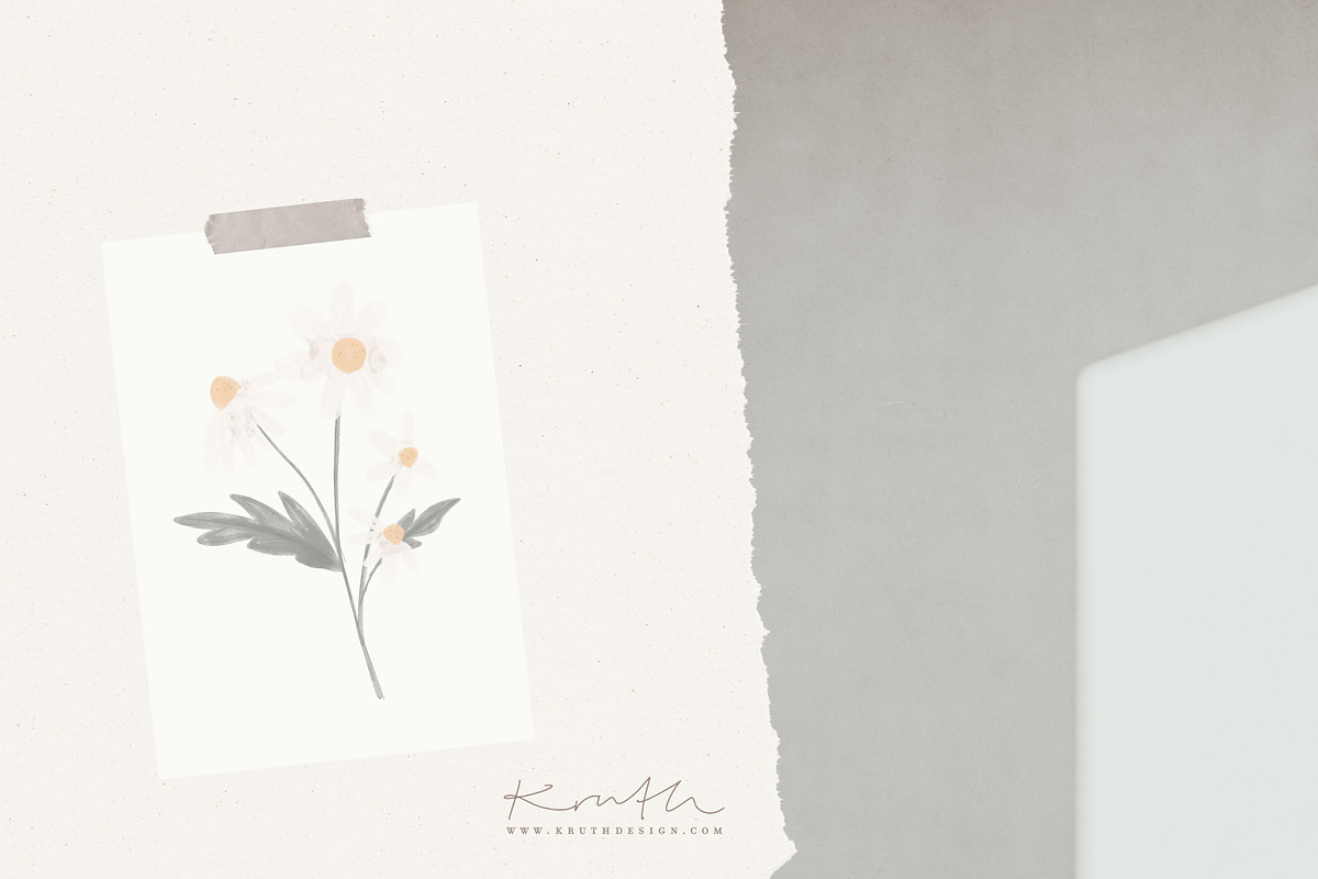WATERCOLOR DAISY / illustration set, an Illustration by KruthDesign (Photo 5 of 7)