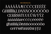 Moela - Serif Display Typeface, a Serif Font by MaikoHatta (Thumbnail 6 of 7)