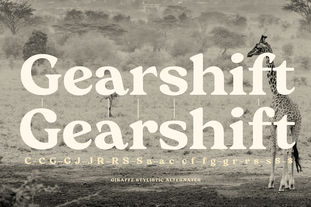 Giraffe Bold Serif Font, a Serif Font by Fenotype (Photo 6 of 10)