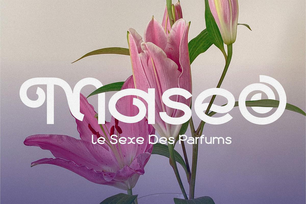 Mallesi Modern Sans, a Sans Serif Font by 160 Studio (Photo 9 of 13)