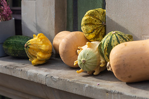 Assortment of Decorative Gourds, a Holiday Photo by Imaginarium