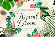 Tropical Dream-watercolor set, a Decorative Illustration by Astarte_design (Thumbnail 1 of 11)