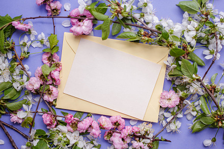 card  with cherry blooming., an Arts & Entertainment Photo by Arymer
