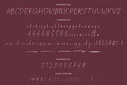 Qialliet Minimalist Script Font, a Script Font by NTC Graphic (Thumbnail 8 of 9)