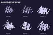 Procreate Expressive Script Brushes, a Brush Add-On by Quiver Supply Co. (Thumbnail 2 of 5)