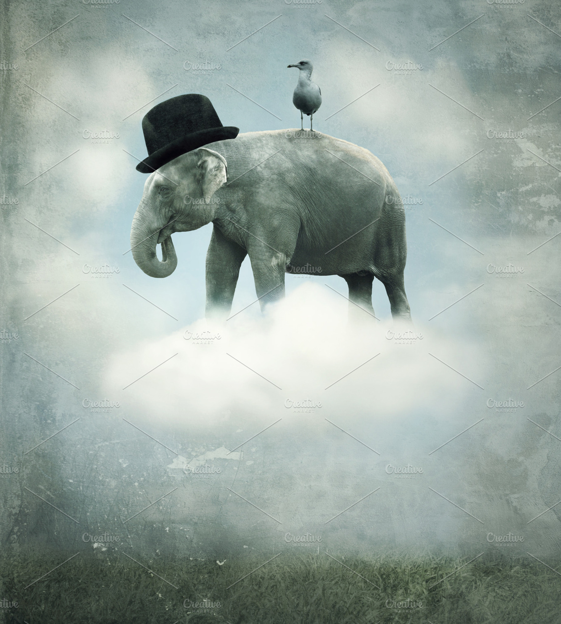Elephant Flying