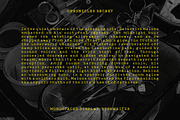 CF Chronicles Secret - Typewriter, a Slab Serif Font by Indotype Foundry (Thumbnail 10 of 10)