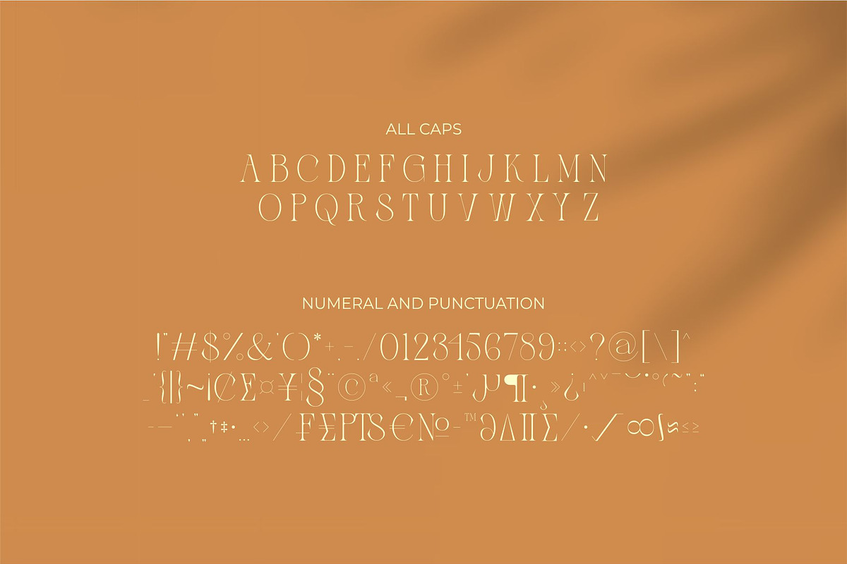 Zaslia - Elegant Ligature Serif, a Serif Font by suhadidesign (Photo 13 of 14)