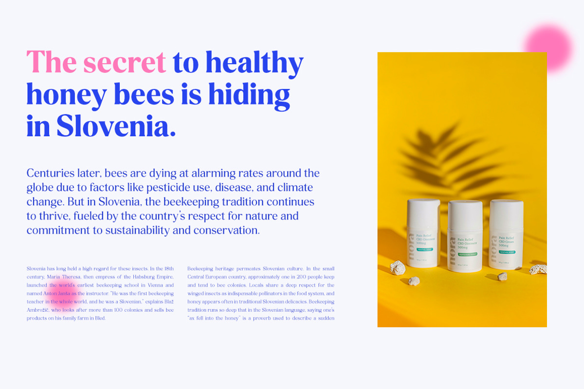 Delvona Serif Family, a Serif Font by Mulkan Nazir (Photo 13 of 15)