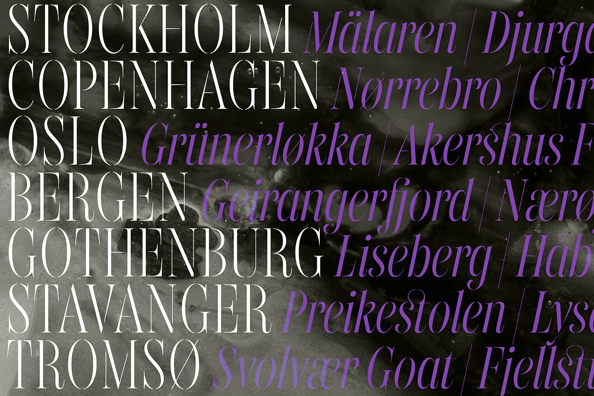 Gabriela Stencil Condensed, a Font by Lechuga Type (Photo 14 of 17)