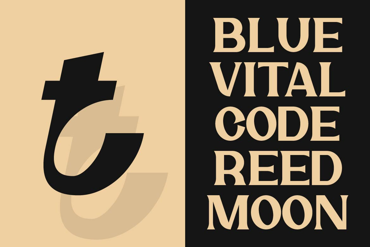 Rocktail – Retro Serif Display Font, a Serif Font by Artiveko (Photo 5 of 8)