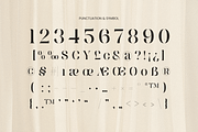 Mediora – Luxury Stencil Logo Font, a Serif Font by Sensatype (Thumbnail 12 of 13)