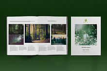 Deep Green Brochure Layout by  in Print