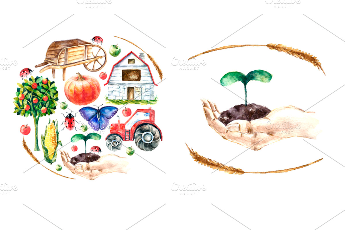 Watercolor Organic Farm, a Food Illustration by Vikeriya (Photo 6 of 7)
