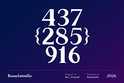 Delusion – Elegant Serif Font, a Serif Font by Basnistudio (Thumbnail 5 of 10)
