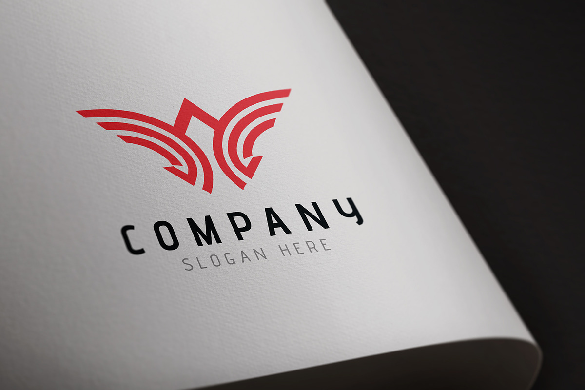 Abstract Drone Logo Template, a Branding & Logo Template by HueNestify (Photo 5 of 6)