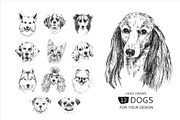 12 DOGS. Christmas Collection, an Illustration by OlgaAlekseenko (Thumbnail 3 of 8)
