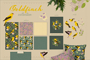 Backyard birds collections, an Illustration by Mona Ahmed (Thumbnail 6 of 10)