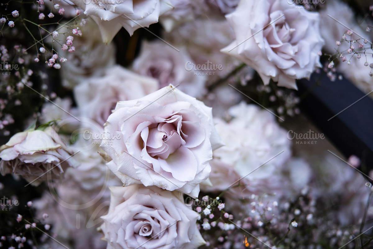 A Garden of Roses | Wedding, Events, a Nature Photo by Farewell (Photo 17 of 41)