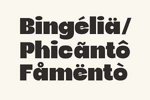 Bermia Display Font